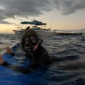 Meet your Posher, Arwyn